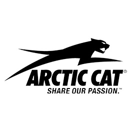 Artic Cat Single Valve Springs