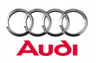 Audi Titanium Retainers