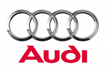 Audi Super Alloy Engine Valves