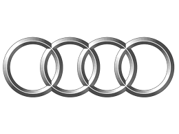Audi Lifter Shims