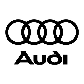 Audi Titanium Retainers