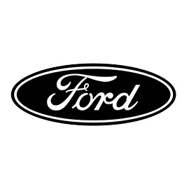 Ford Steel Valve Locks