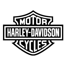 Harley Davidson Steel Valve Locks
