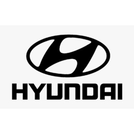 Hyundai 6000 Series Competition Valves