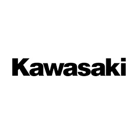 Kawasaki Titanium Engine Valves