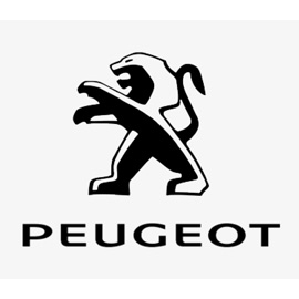 Peugeot 6000 Series Competition Valves
